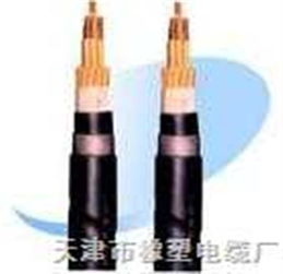 RVZ與RVZ電力電纜 規格、特點與應用全解析
